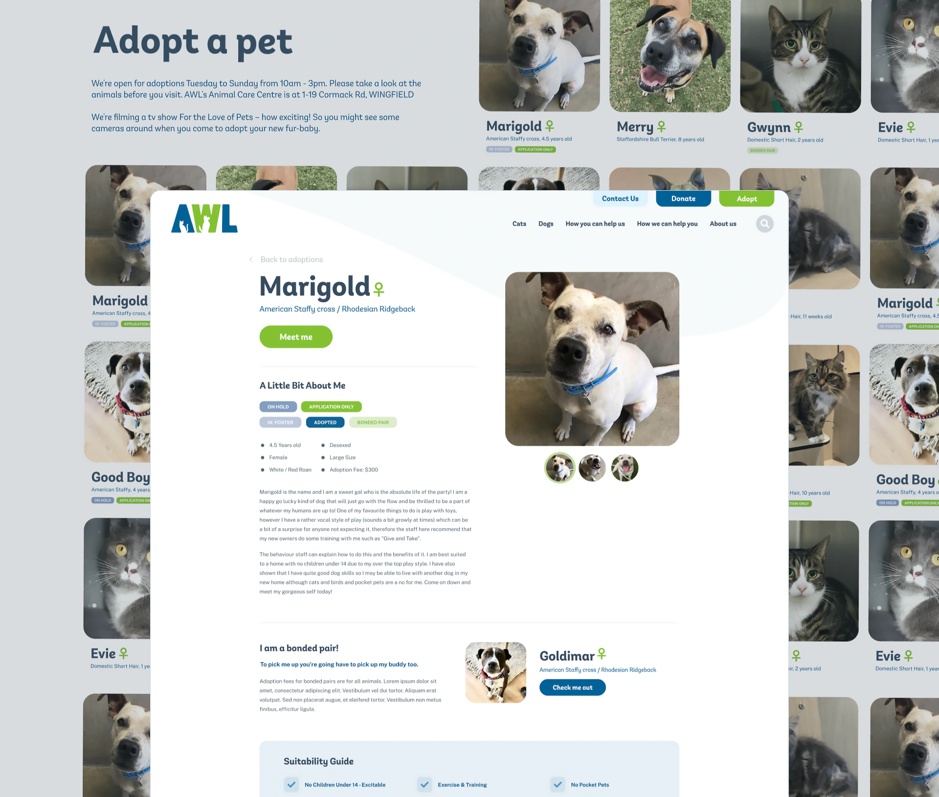 Animal Welfare League website adopt a pet and listing