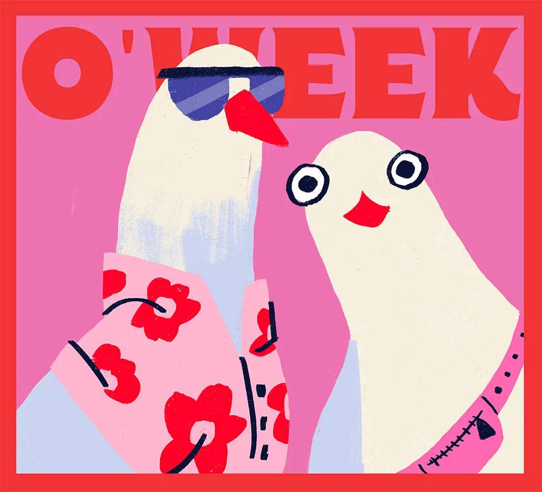 Flinders Orientation Week | Graphic design, campaign creation, brand rollout, illustration